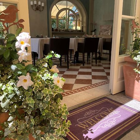 Villa Palmira Kinderfreies Hotel Cannobio Exterior photo